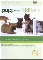 Puppies & Kittens - Timm Hendrik Hoerzeil