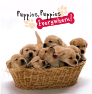 Puppies, Puppies Everywhere!