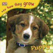Puppy