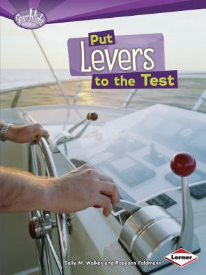 Put Levers to the Test - Feldmann, Roseann, and Walker, Sally M