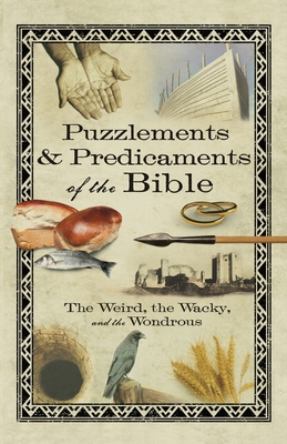 Puzzlements & Predicaments of the Bible: The Weird, the Wacky, and the Wondrous - Howard Books