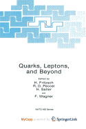 Quarks, leptons and beyond