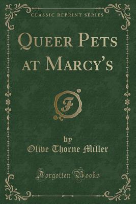 Queer Pets at Marcy's (Classic Reprint) - Miller, Olive Thorne