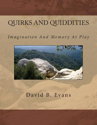 Quirks And Quiddities: Imagination And Memory - Evans, David B