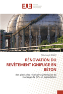 Rnovation Du Revtement Ignifuge En Bton