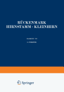 R?ckenmark Hirnstamm ? Kleinhirn