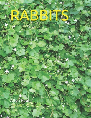 Rabbits - Paul, Allen