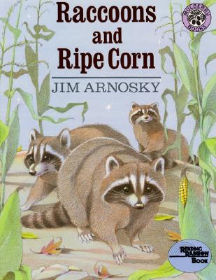 Raccoons and Ripe Corn - 