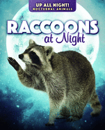 Raccoons at Night