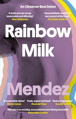 Rainbow Milk: an Observer 2020 Top 10 Debut - Mendez, Paul