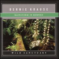 Rainstorm in Borneo - Bernie Krause