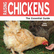 Raising Chickens: The Essential Guide