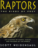 Raptors: the Birds of Prey - Weidensaul, Scott