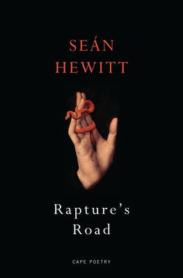 Rapture's Road: from the author of All Down Darkness Wide - Hewitt, Sen