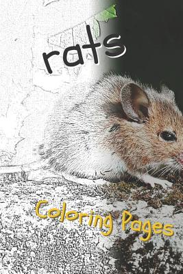 Rat Coloring Pages: Beautiful Rats Drawings for Kids and for Adults Relaxation - Pages, Coloring