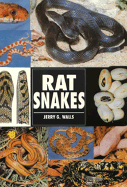 Rat Snakes
