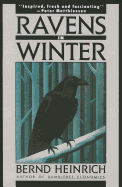 Ravens in Winter