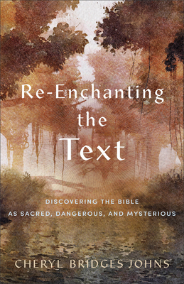 Re-Enchanting the Text: Discovering the Bible as Sacred, Dangerous, and Mysterious - Johns, Cheryl Bridges