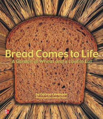 Reading Wonders Literature Big Book: Bread Comes to Life Grade K - McGraw Hill (Creator)