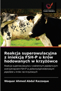 Reakcja superowulacyjna z iniekcj  FSH-P u kr?w hodowanych w krzy ?wce