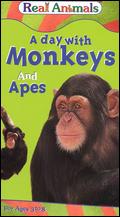 Real Animals: A Day with Monkeys and Apes - 