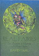 Real Fairies: True Accounts of Meetings with Nature Spirits