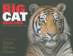 Real Stories of Big Cat Rescues: Tales from the Exotic Feline Rescue Center