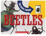 Real Thing! Beetles