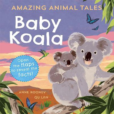 Reception/Primary 1: Amazing Animal Tales: Baby Koala - Rooney, Anne