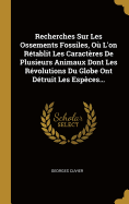 Recherches Sur Les Ossements Fossiles, O L'on Rtablit Les Caractres De Plusieurs Animaux Dont Les Rvolutions Du Globe Ont Dtruit Les Espces...