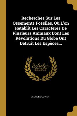 Recherches Sur Les Ossements Fossiles, O L'on Rtablit Les Caractres De Plusieurs Animaux Dont Les Rvolutions Du Globe Ont Dtruit Les Espces... - Cuvier, Georges