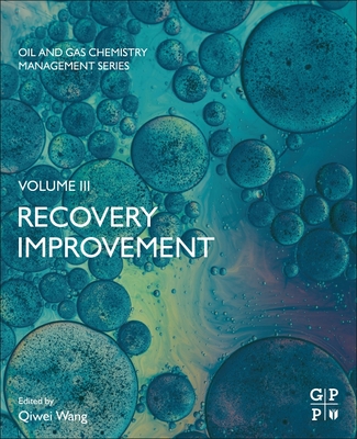 Recovery Improvement - Wang, Qiwei (Editor)