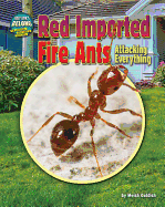 Red Imported Fire Ants: Attacking Everything