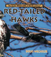 Red-Tailed Hawks - Wechsler, Doug