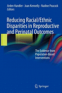 Reducing Racial/Ethnic Disparities in Reproductive and Perinatal Outcomes: The Evidence from Population-Based Interventions