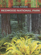 Redwood National Park: Forest of Giants