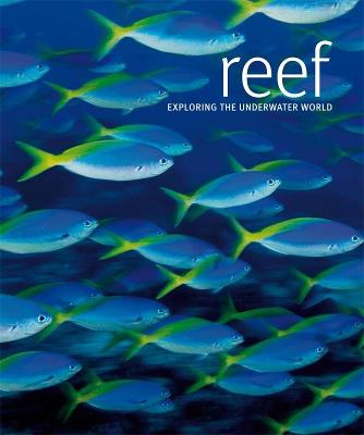 Reef: Exploring the Underwater World - Scubazoo, and Marine Conservation Society (Foreword by)