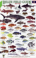 Reef Fish - Brown, J.