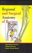 Regional and Surgical Anatomy of Bovines