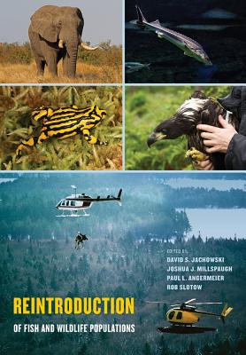 Reintroduction of Fish and Wildlife Populations - Jachowski, David S (Editor), and Millspaugh, Joshua J (Editor), and Angermeier, Paul L (Editor)