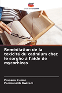 Remdiation de la toxicit du cadmium chez le sorgho  l'aide de mycorhizes