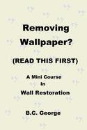 Removing Wallpaper? (READ THIS FIRST) A Mini Course in Wall Restoration