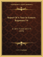 Report of a Tour in Eastern Rajputana V6: In 1871-72 and 1872-73 (1878)