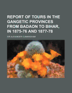 Report of Tours in the Gangetic Provinces from Badaon to Bihar, in 1875-76 and 1877-78, Vol. 11 (Classic Reprint)