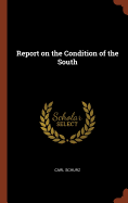 Report on the Condition of the South