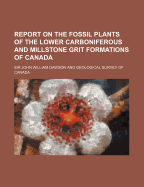 Report on the Fossil Plants of the Lower Carboniferous and Millstone Grit Formations of Canada