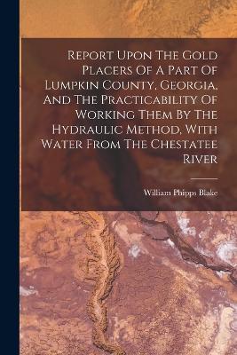 Report Upon The Gold Placers Of A Part Of Lumpkin County, Georgia, And The Practicability Of Working Them By The Hydraulic Method, With Water From The Chestatee River - Blake, William Phipps