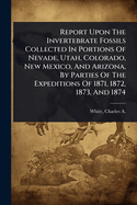 Report Upon The Invertebrate Fossils Collected In Portions Of Nevade, Utah, Colorado, New Mexico, And Arizona, By Parties Of The Expeditions Of 1871, 1872, 1873, And 1874