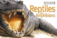 Reptiles - Owen, Weldon (Editor)