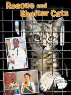 Rescue and Shelter Cats